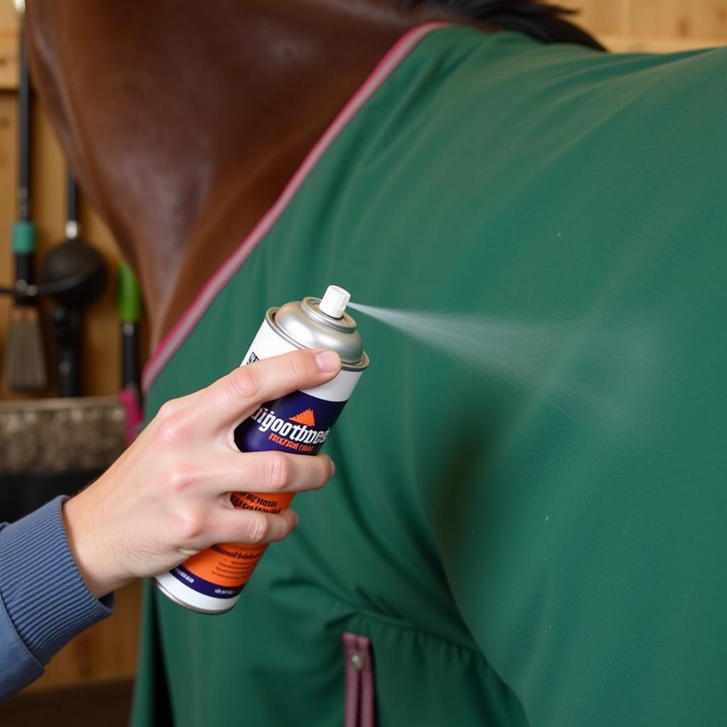 Applying Horse Blanket Waterproofing Spray