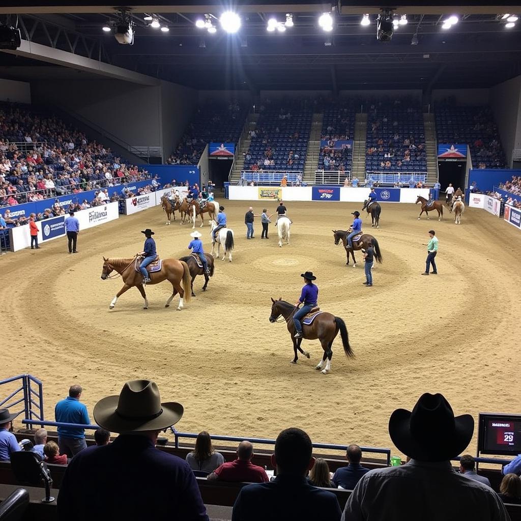 Horses competing in the Arkansas State Horse Show