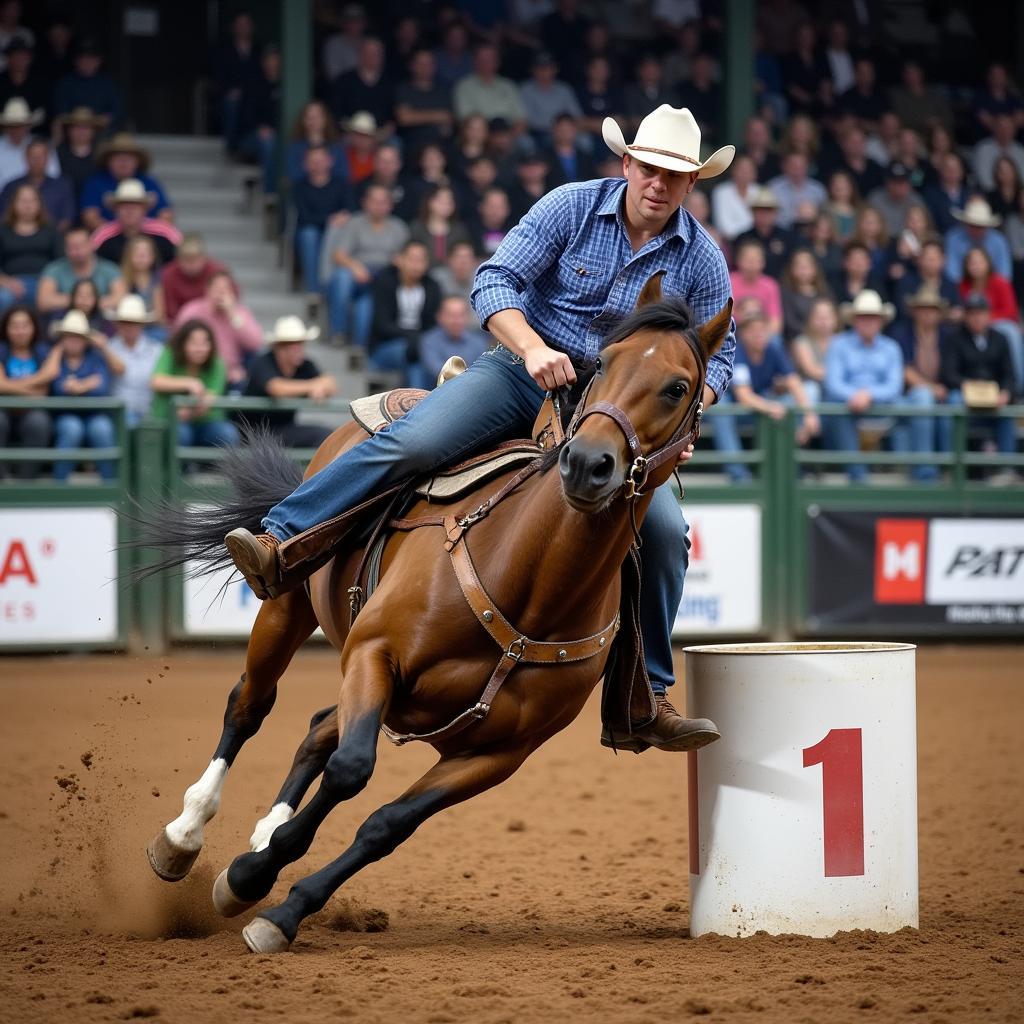 Barrel horse and rider competing in an arena