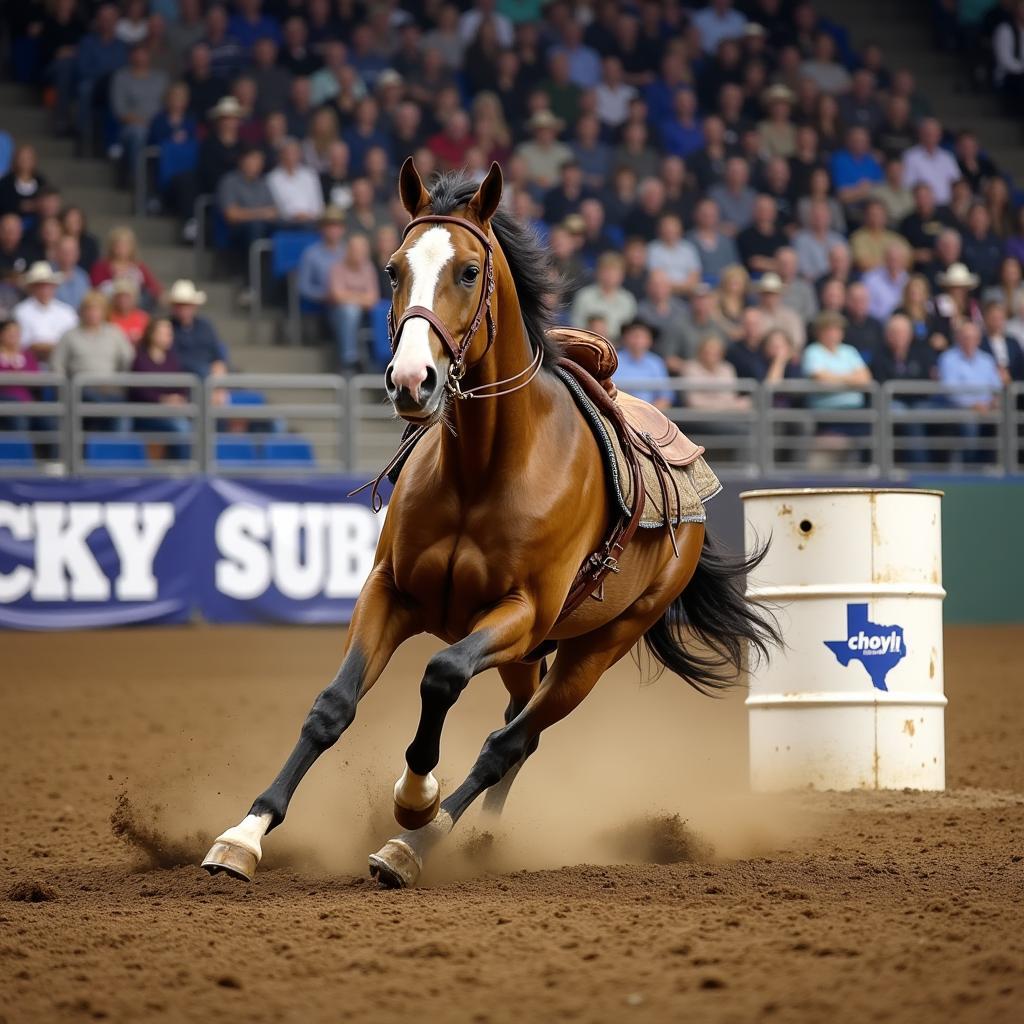 Barrel racing horse in Texas