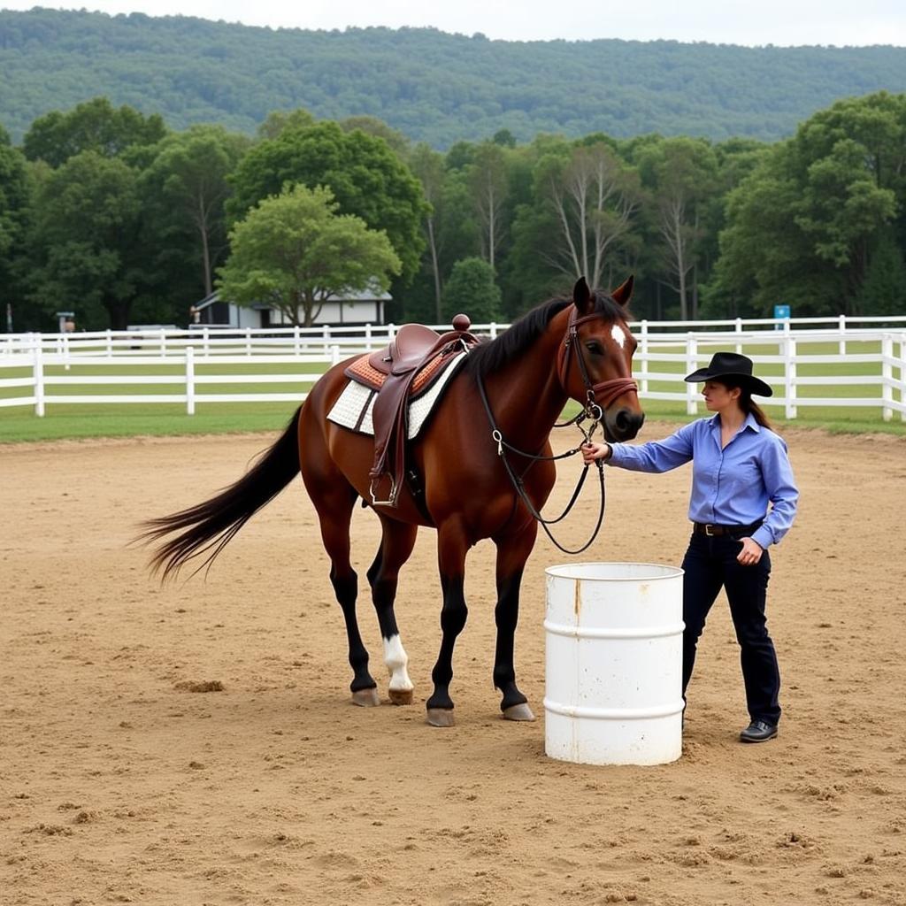 Barrel racing training exercises in an outdoor arena