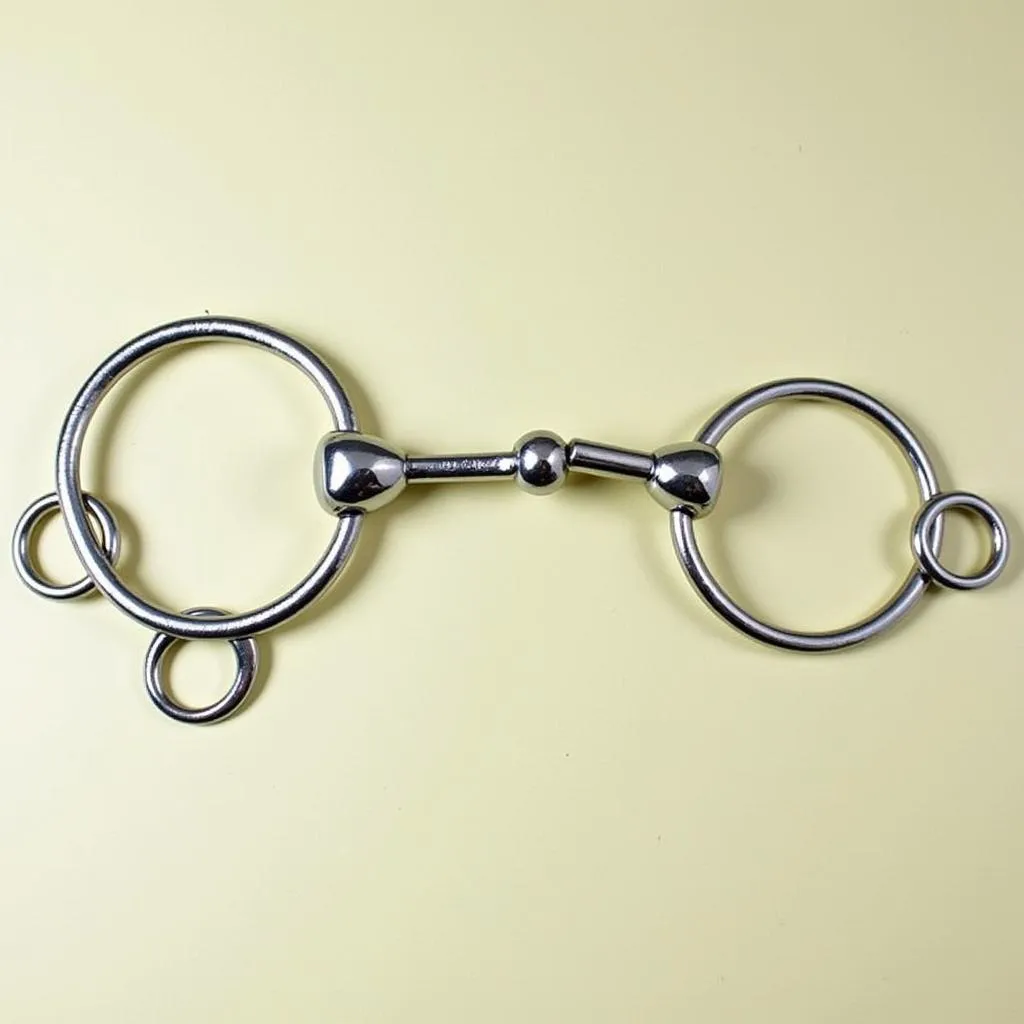 Basic O-Ring Snaffle Bit