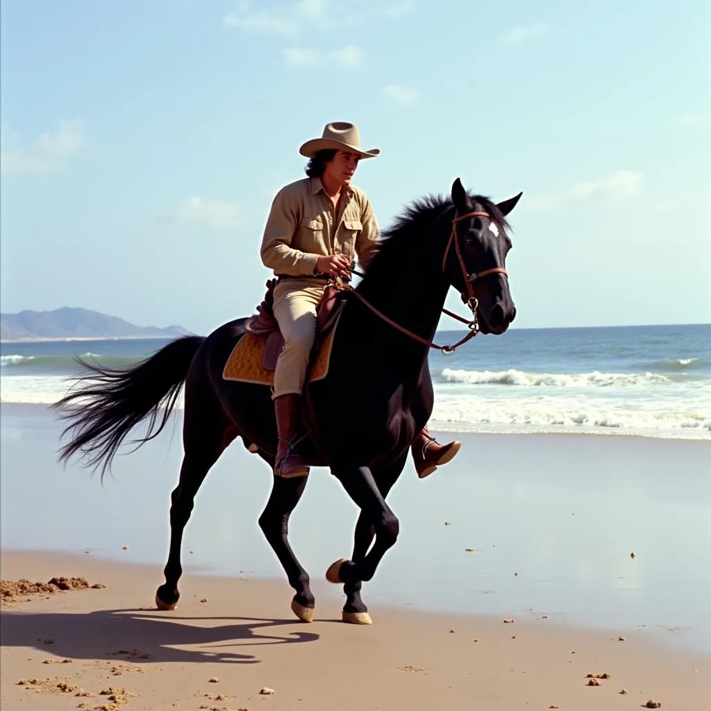 Black Stallion Running on Beach