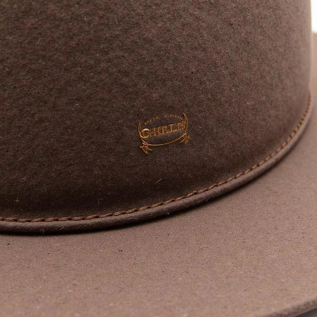 Close-up of a Charlie One Horse felt hat