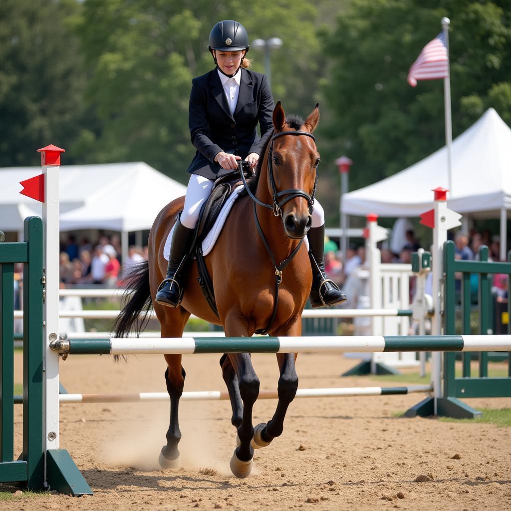 CJL Horse Show Competition