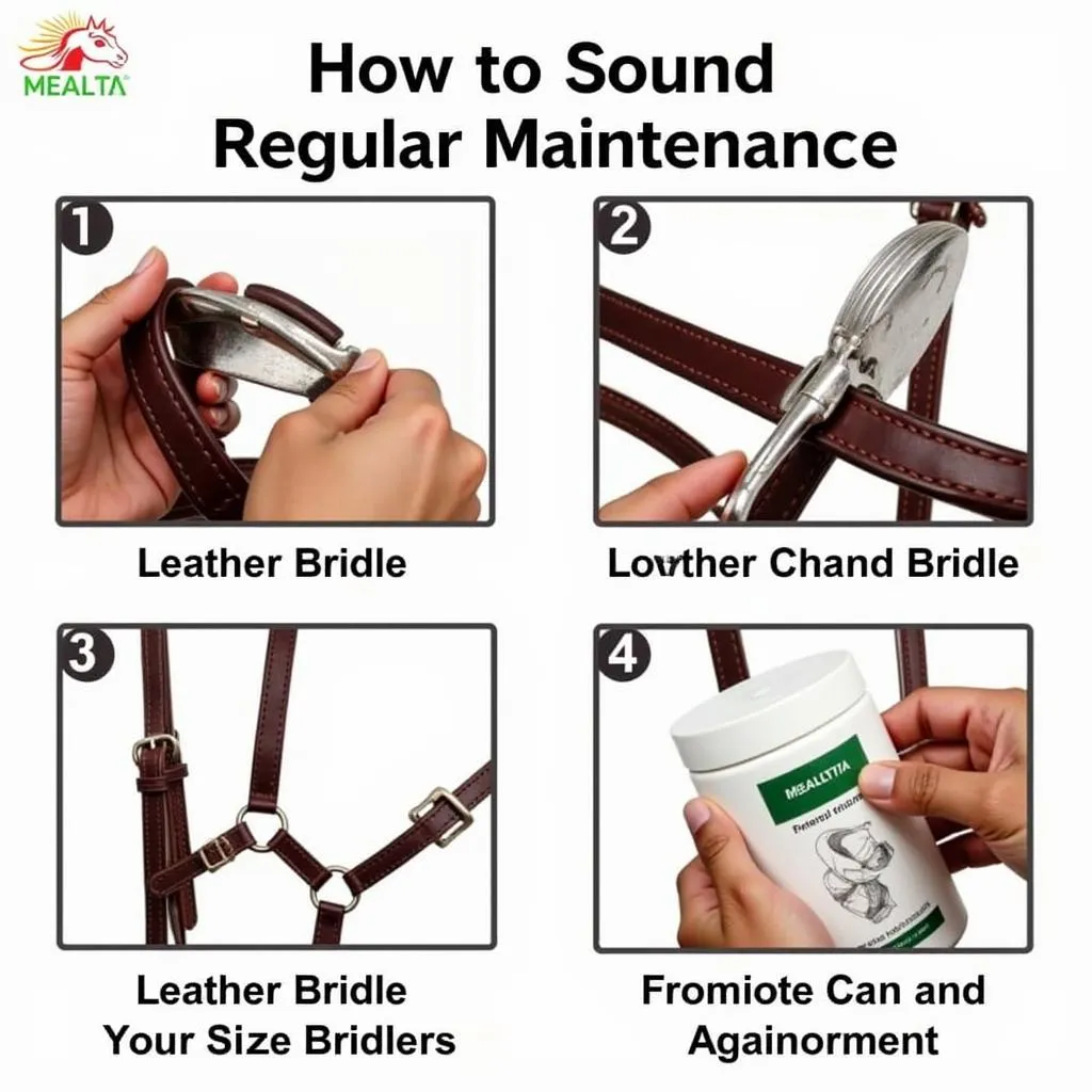 Cleaning a Horse Bridle