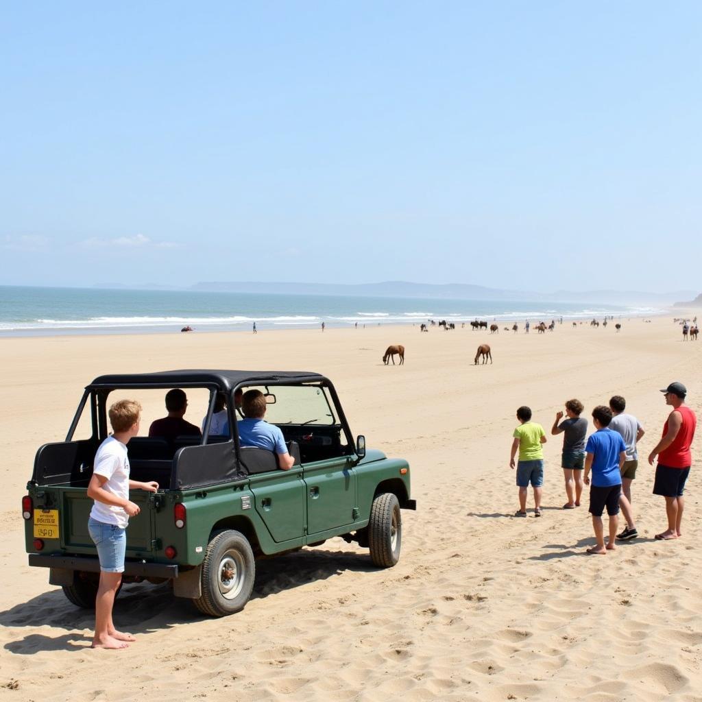 A group of people on a wild horse tour in Corolla, Outer Banks.