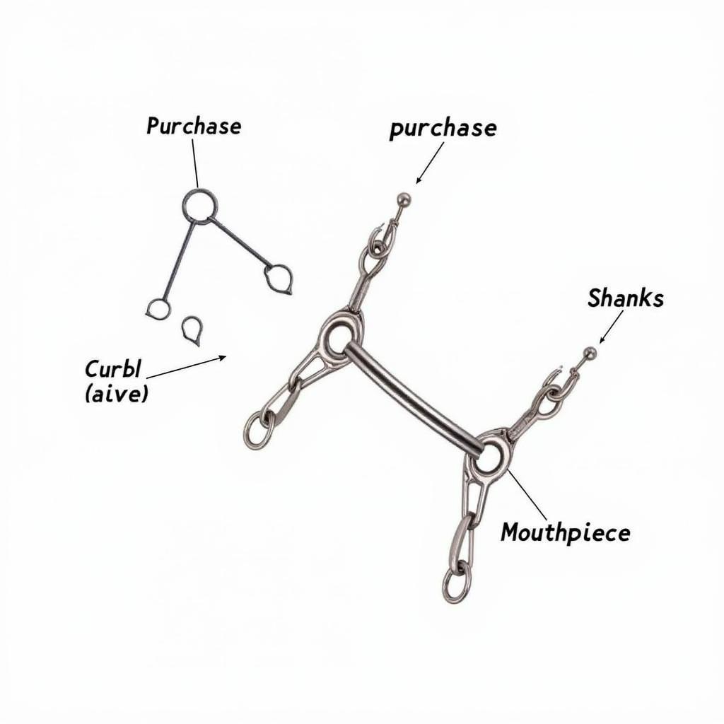 Anatomy of a Curb Bit