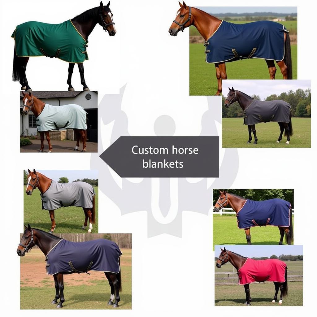 Custom Horse Blankets: A Variety of Styles