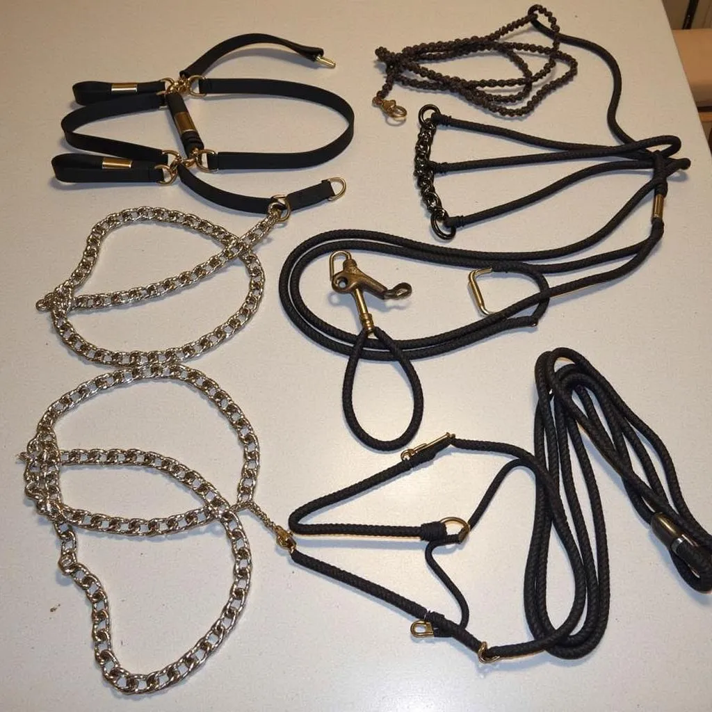 Different Horse Training Tools Including Stud Chain