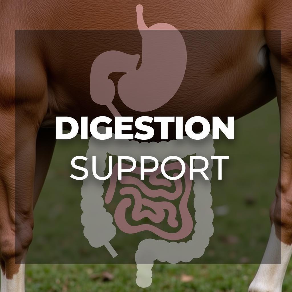 Horse digestion supplement