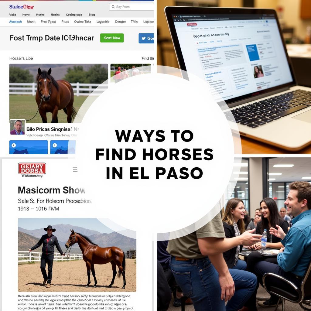 El Paso Horse Market Options