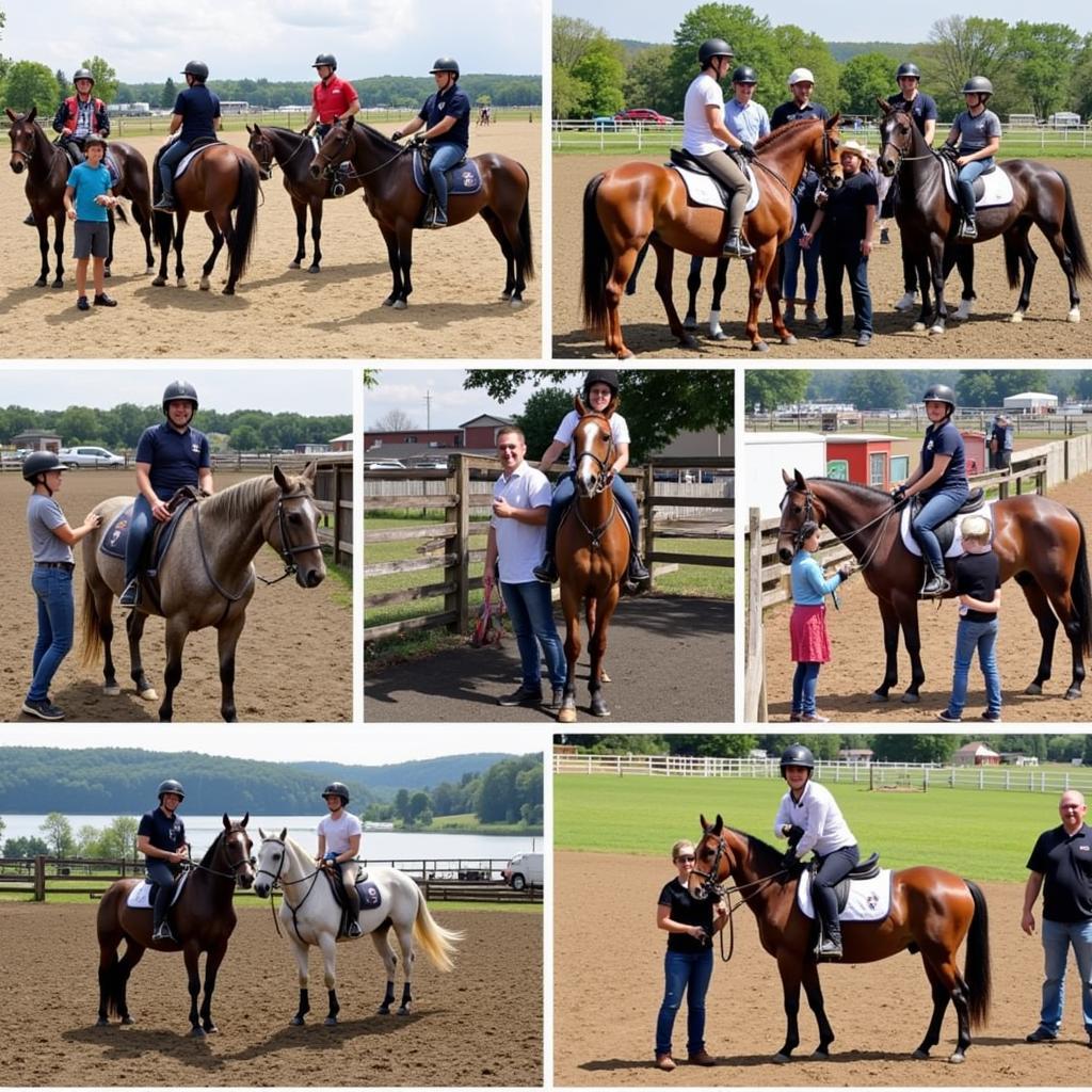 Equestrian Community at Justus Horses Hammonton