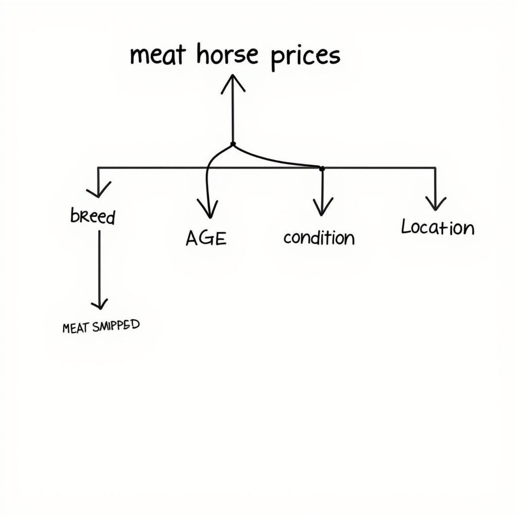 Factors Influencing Meat Horse Prices