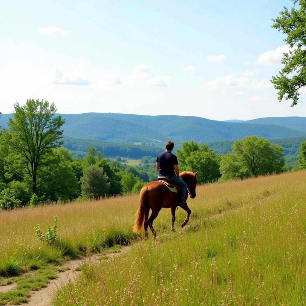 Horse and Rider Trail Riding in Flemingsburg