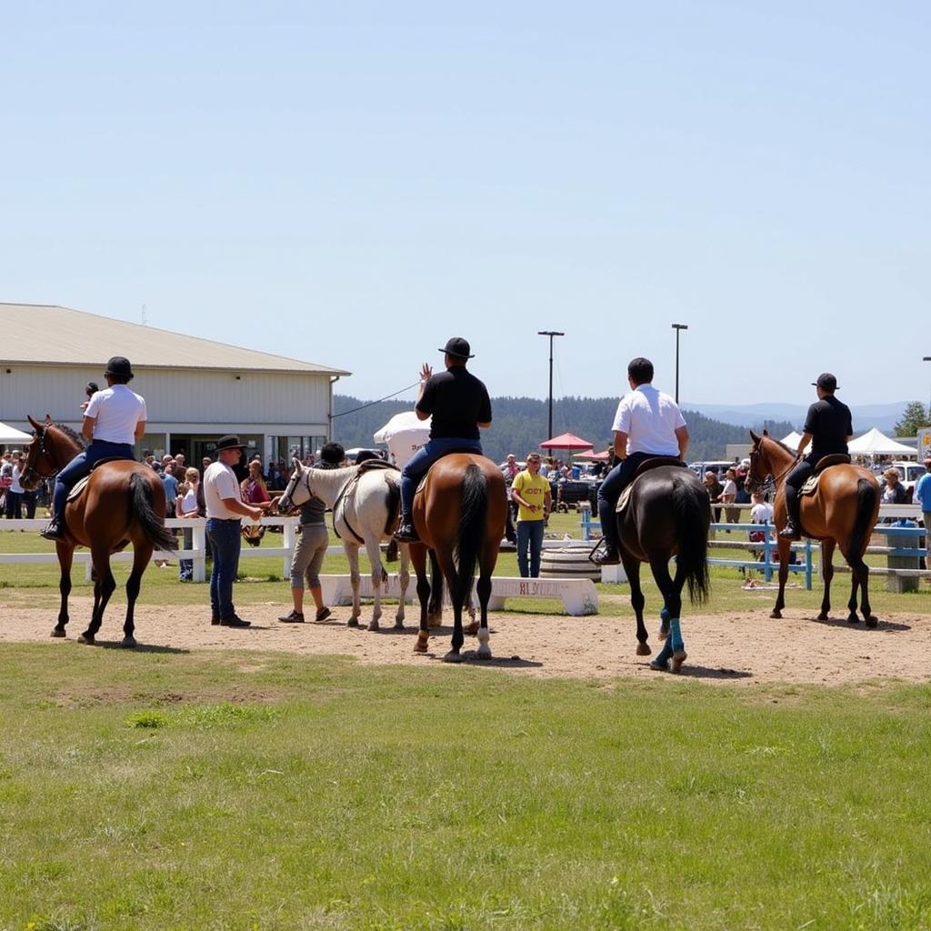 Equestrian competition at Fort Bragg