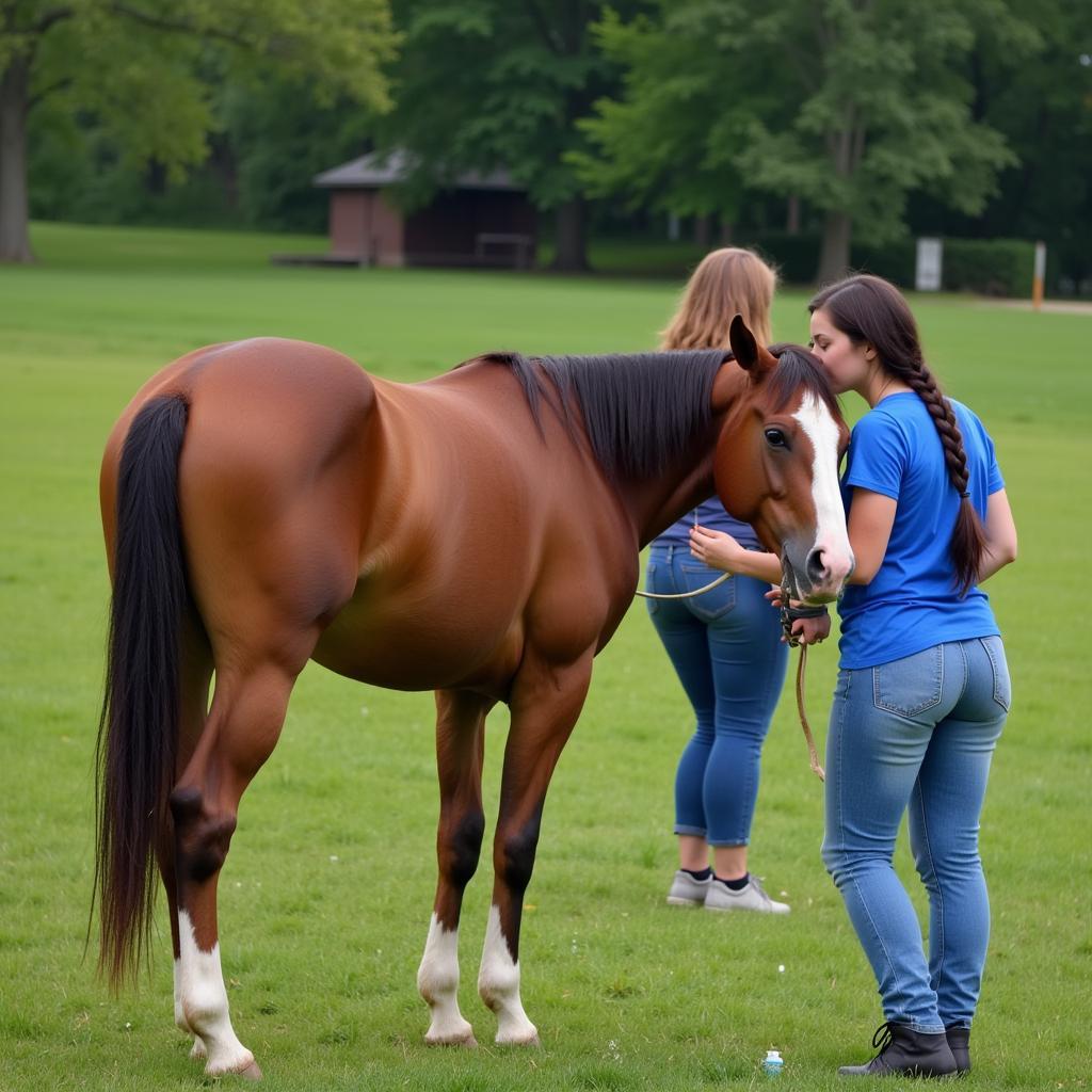 Grooming a Butter Horse