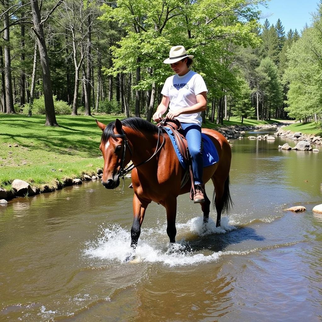 Horse and rider successfully crossing a water obstacle