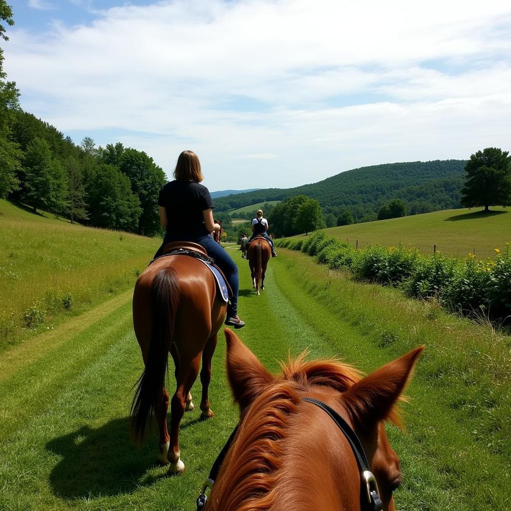 Horse and rider enjoying a trail ride in Harrisburg, PA