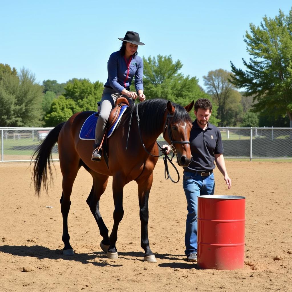 Horse and trainer working with vaulting barrel