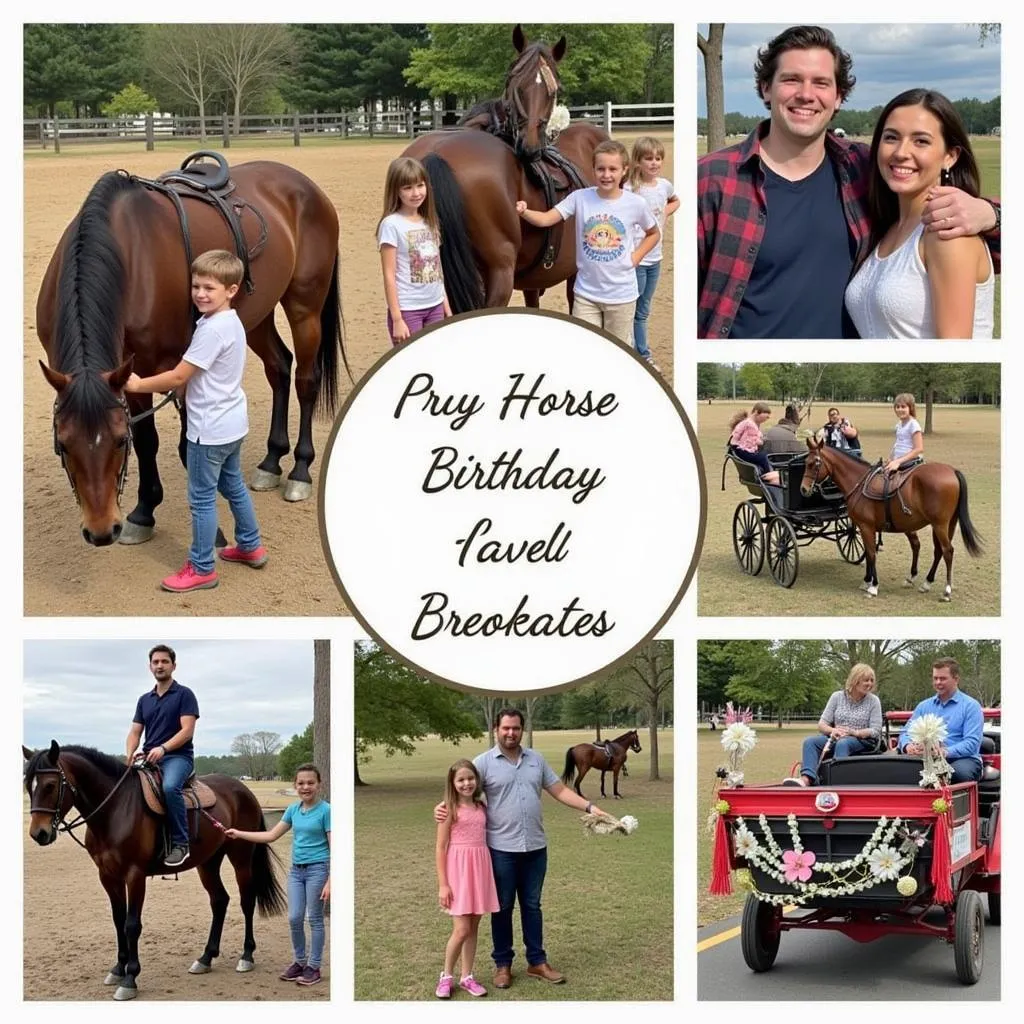 Birthday party activities with horses