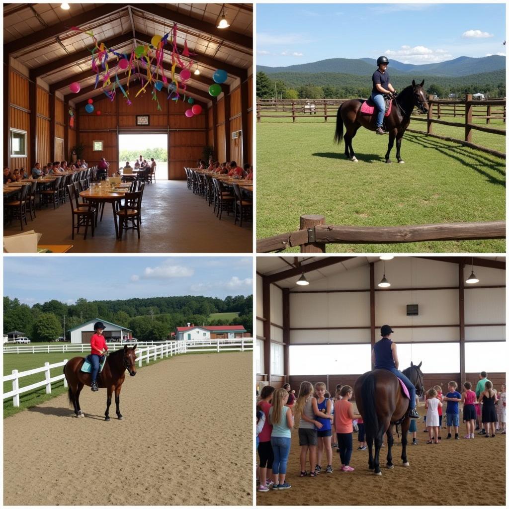 Horse Birthday Party Venue Options