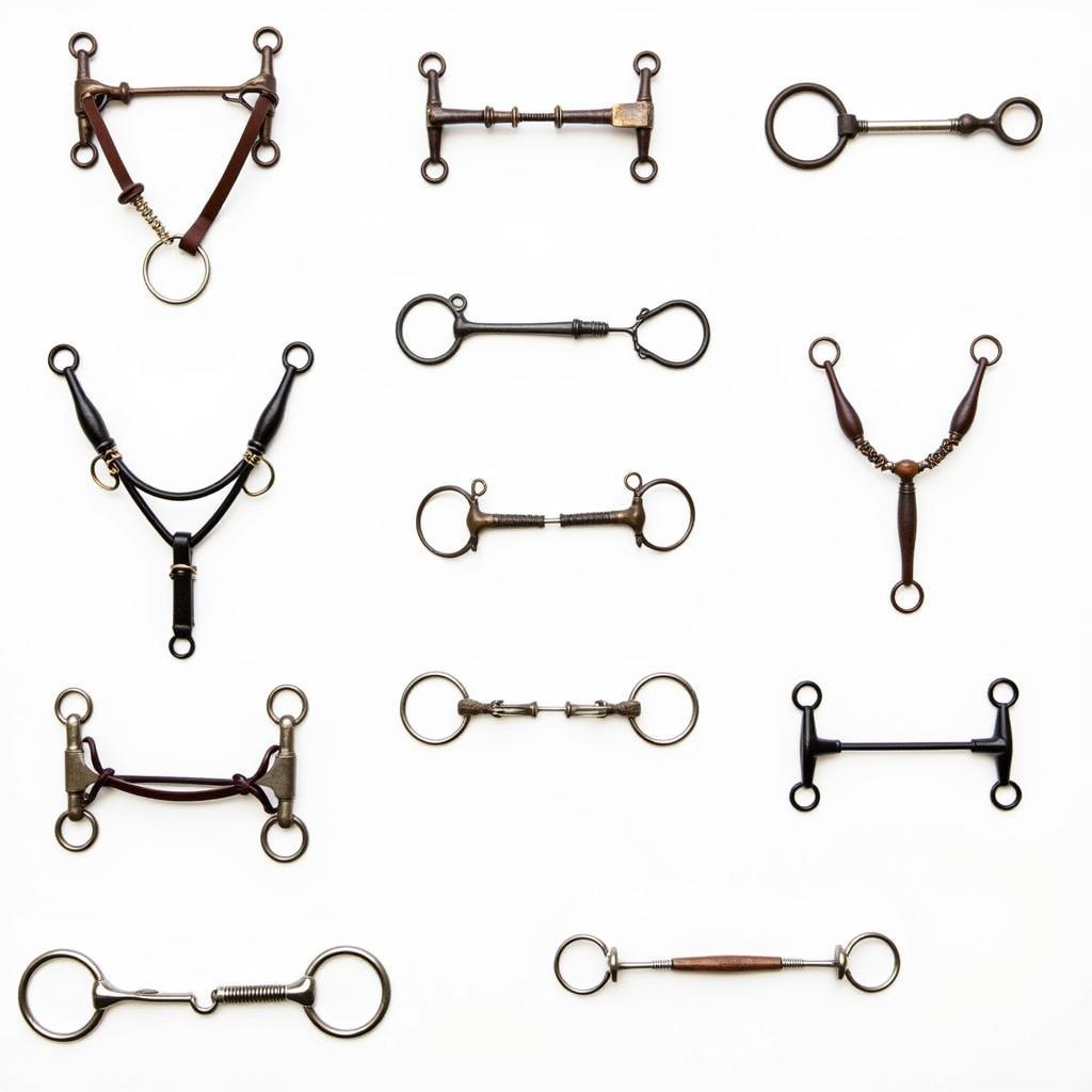 Types of Horse Bits