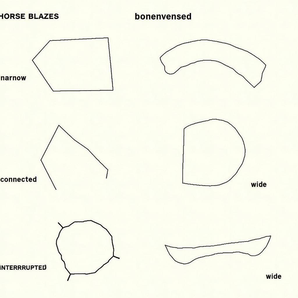 Different Types of Horse Blazes