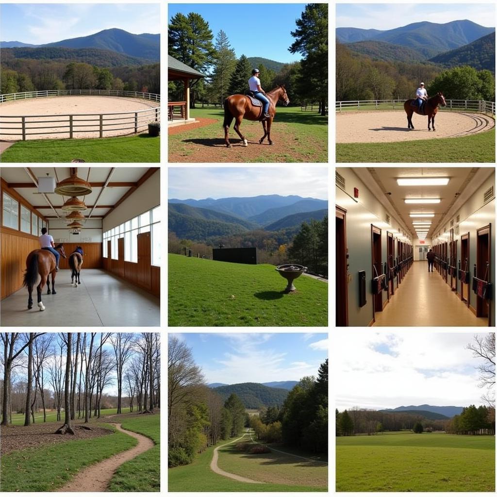 Various amenities available at horse boarding facilities in Asheville