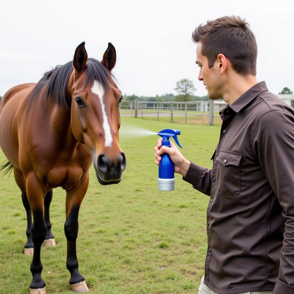 Applying Horse Fly Spray to a Horse