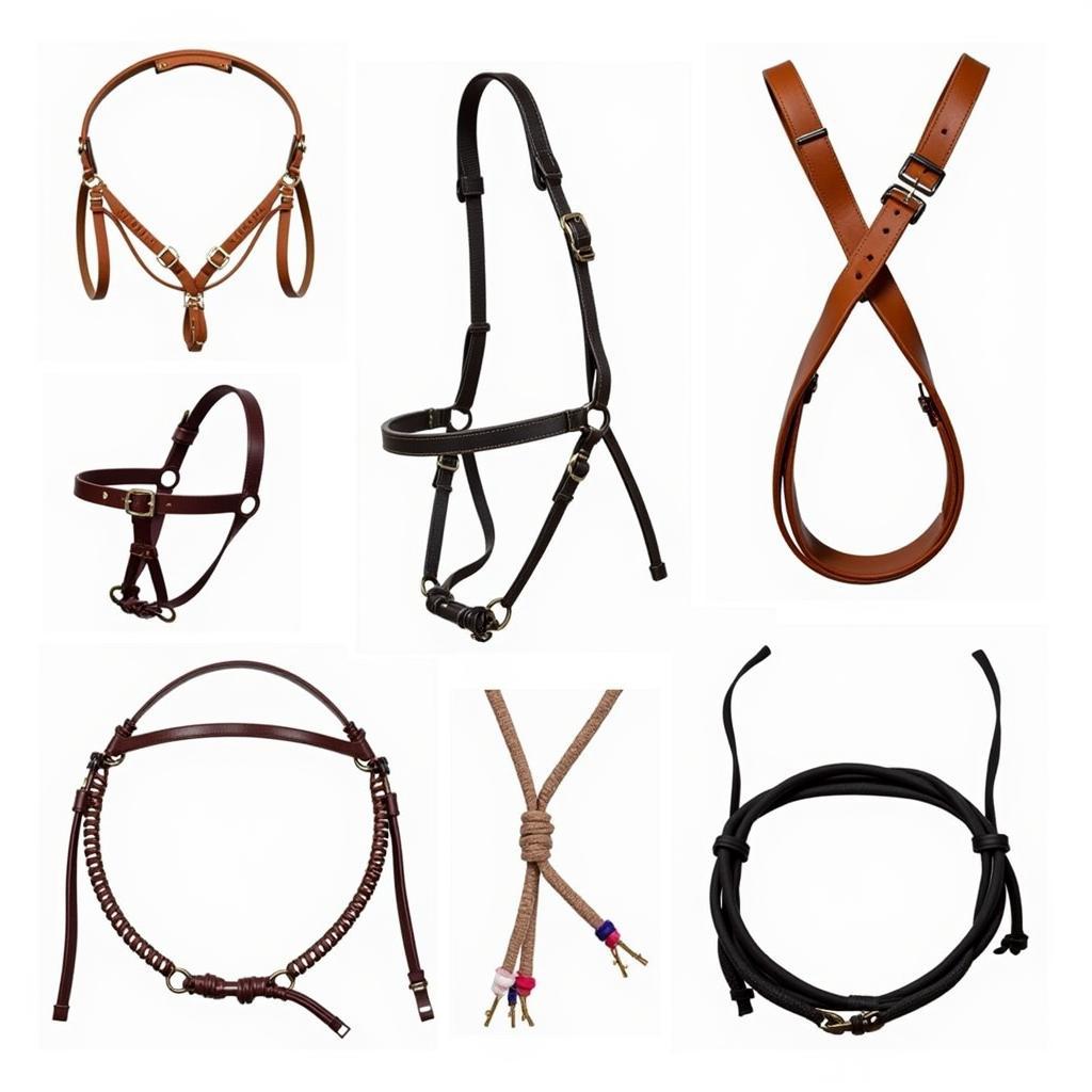 Different types of horse halters