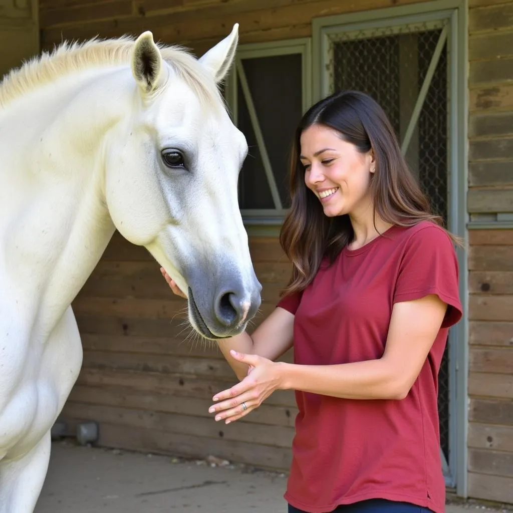 Preparing for Your Horse Portrait Session