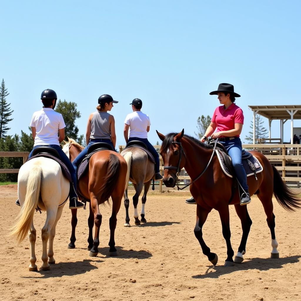 Group Horse Riding Lesson in Newport Beach