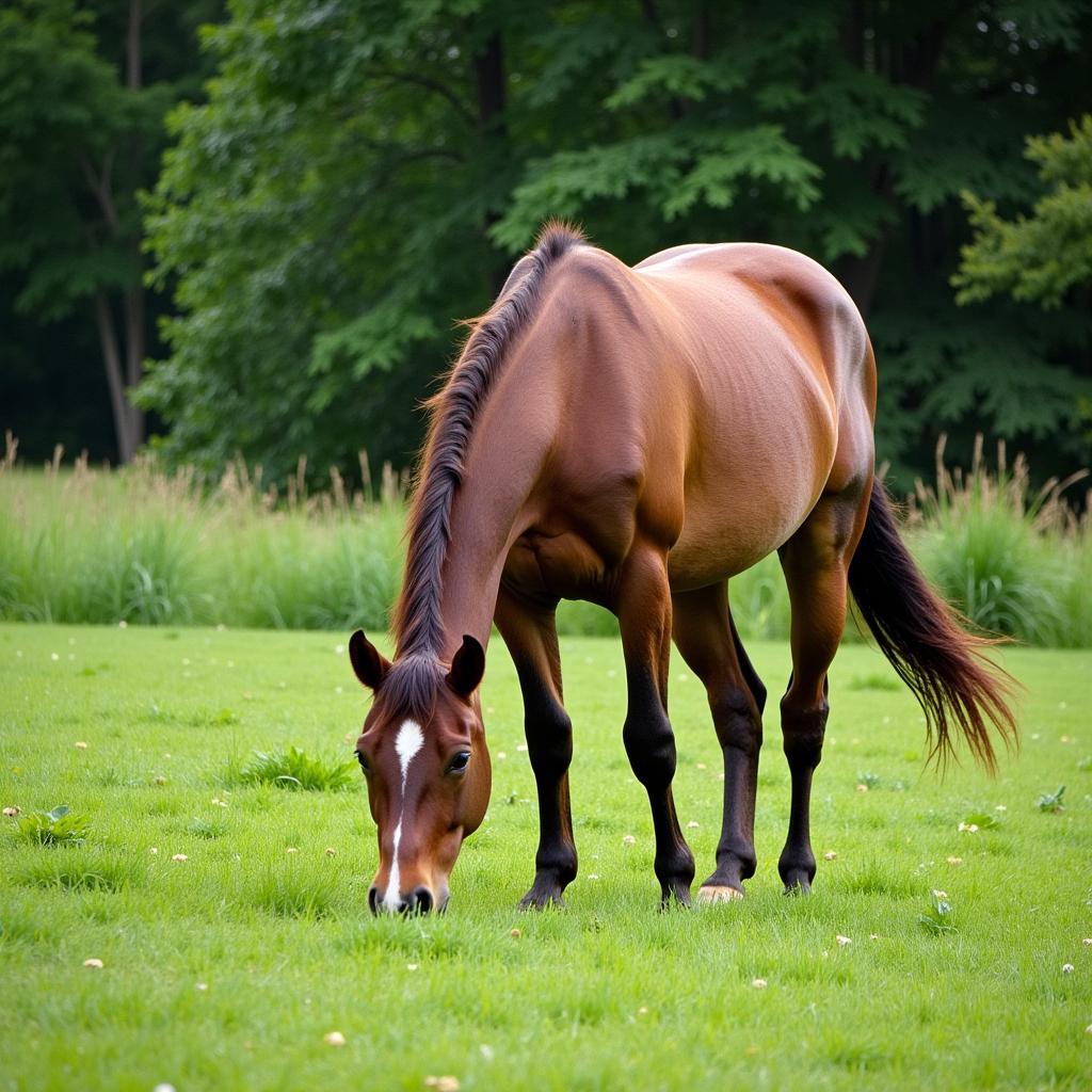 Horse Shedding in Spring Pasture