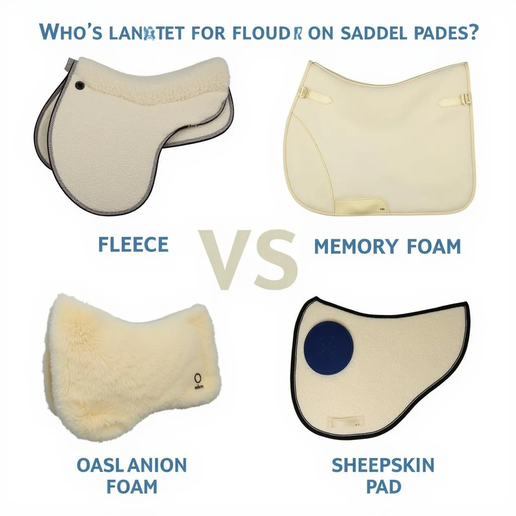 Horse Show Pads Guide: Selection and Care