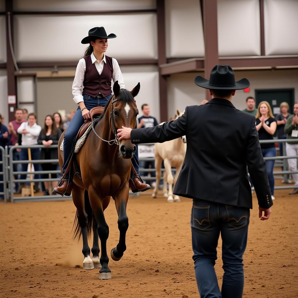 Judge Evaluating Horse and Handler in Showmanship