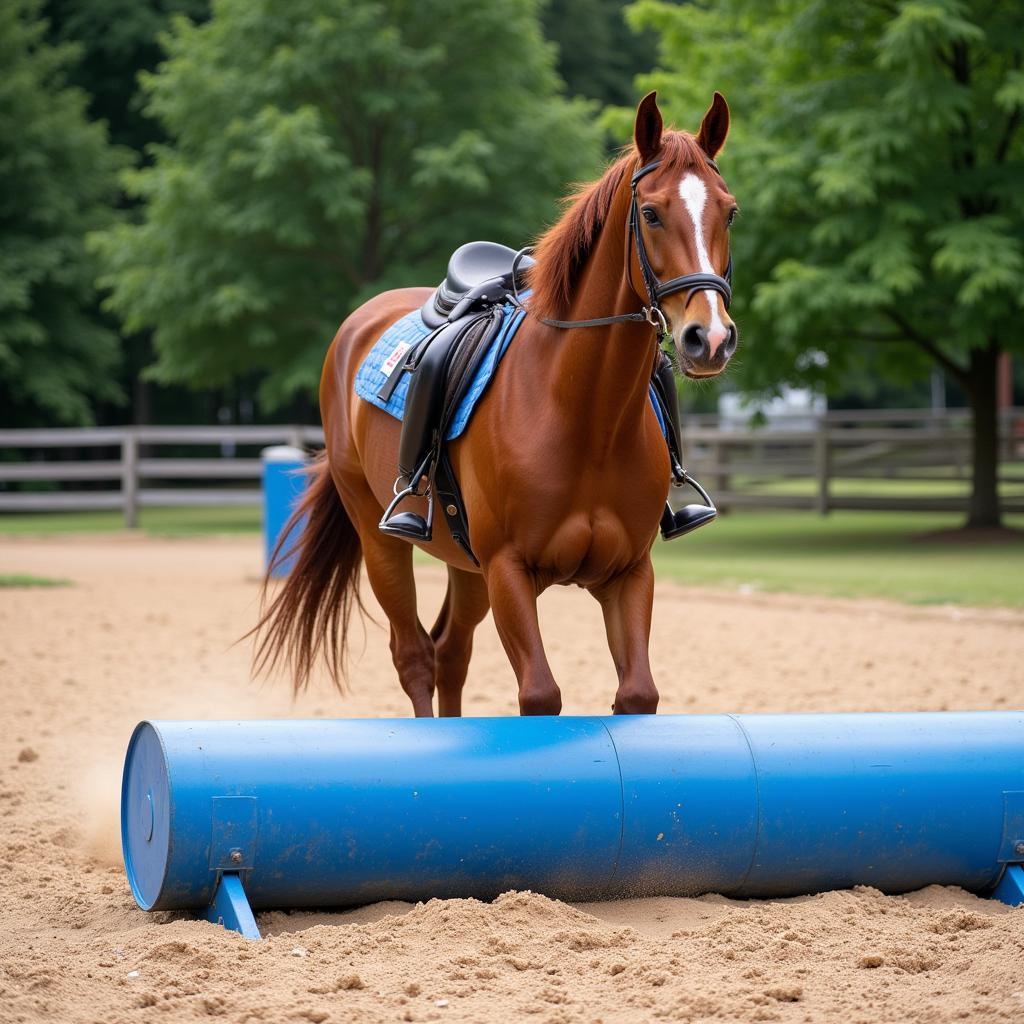 Horse Vaulting Barrel for Sale: Your Guide to Choosing and Using This Versatile Training Tool