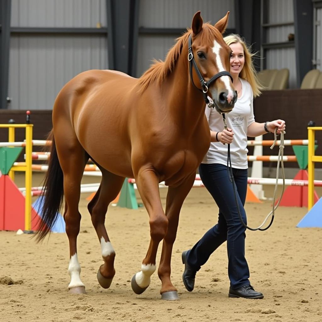 Horse navigating obstacles on a lead line.