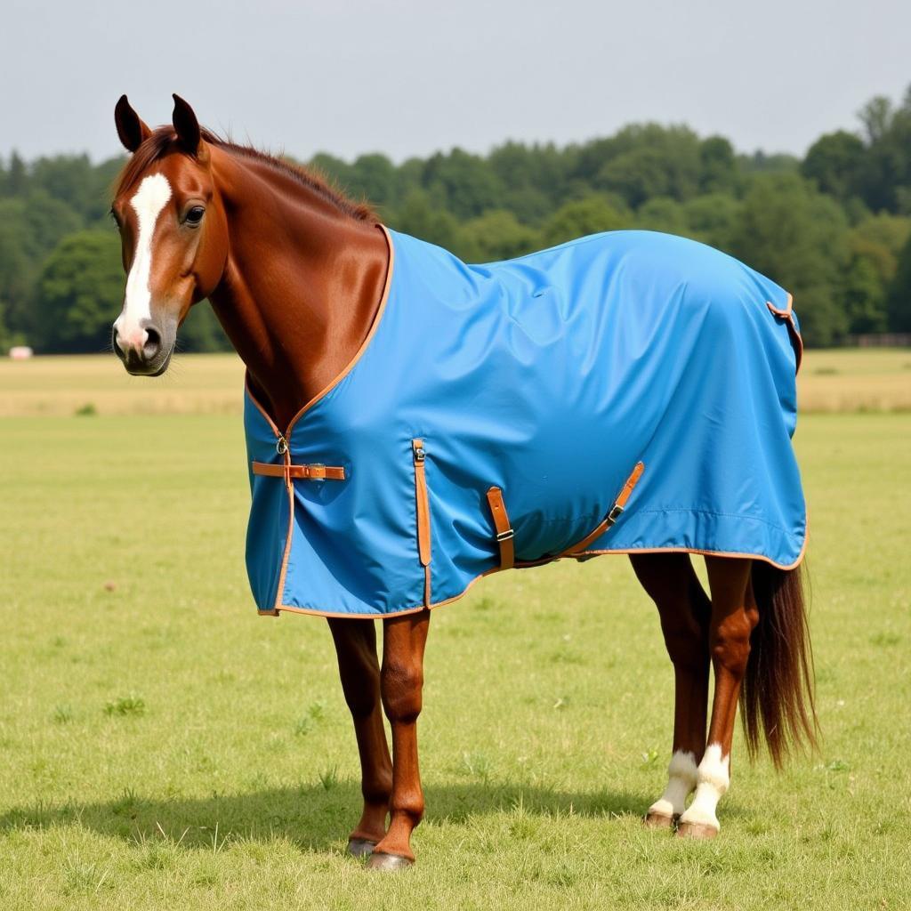 Lightweight Horse Blanket