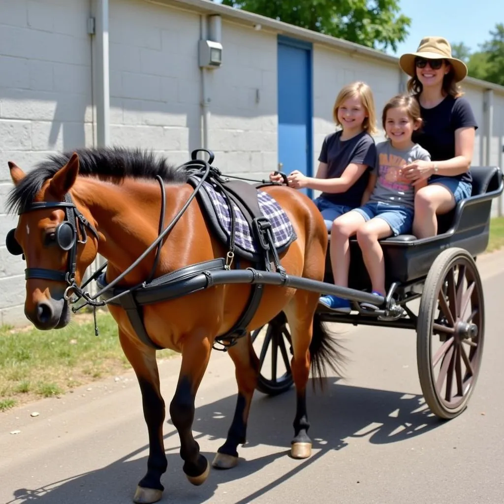 A family enjoying a ride in a two-seat cart