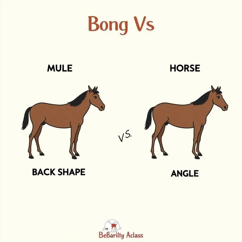 Mule vs. Horse Anatomy: Key Differences