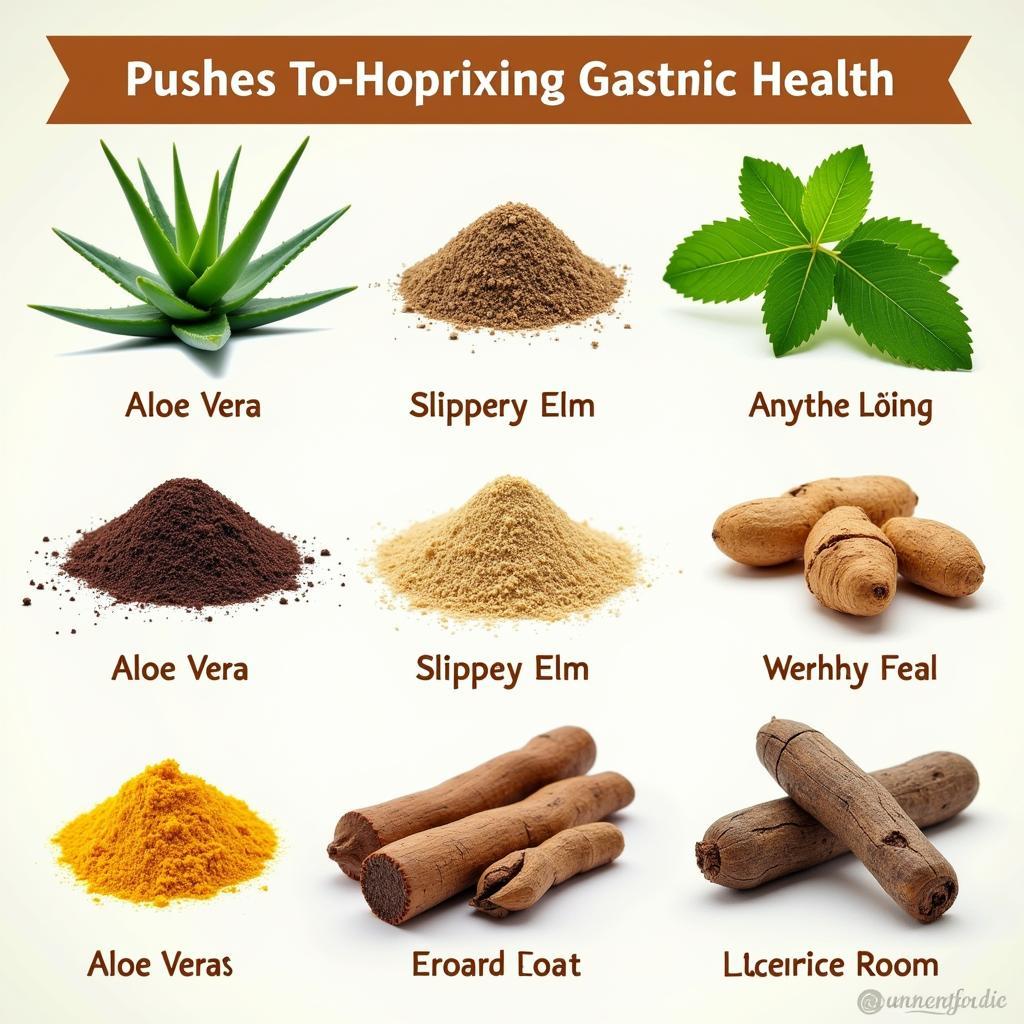 Natural ingredients for horse gastric health