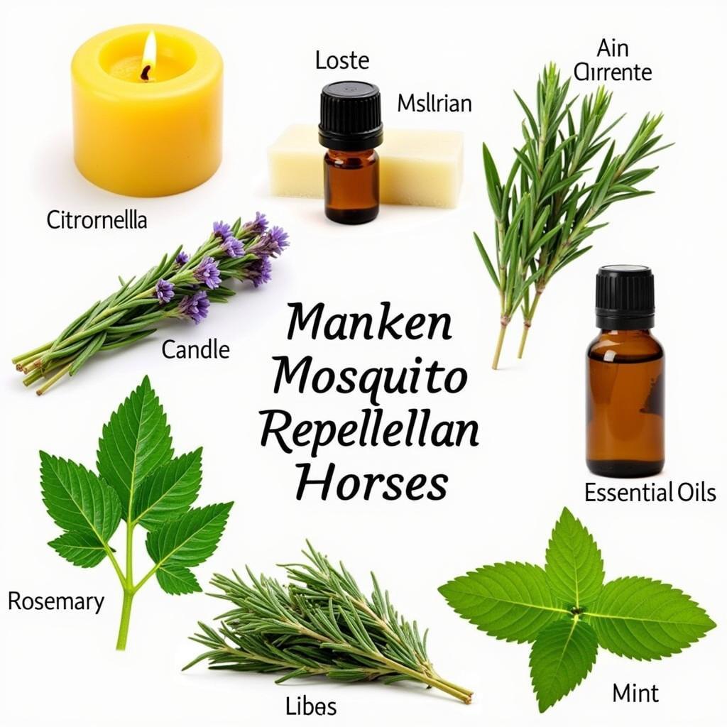 Natural Mosquito Repellent Ingredients