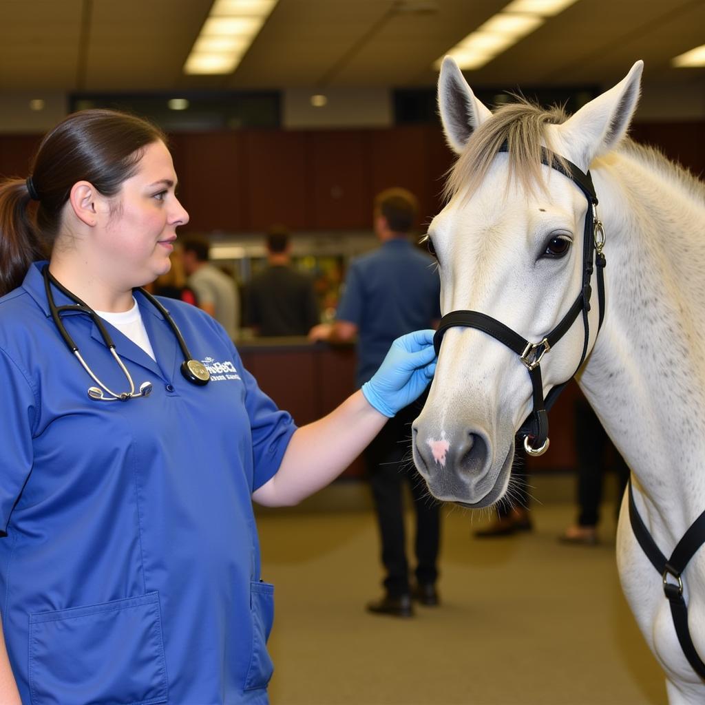 Veterinarian Inspecting Horse at Sale