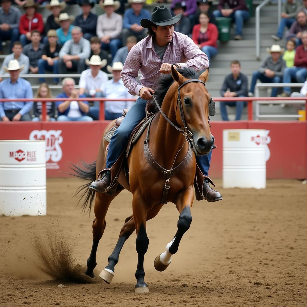 Quarter Horse Barrel Racing