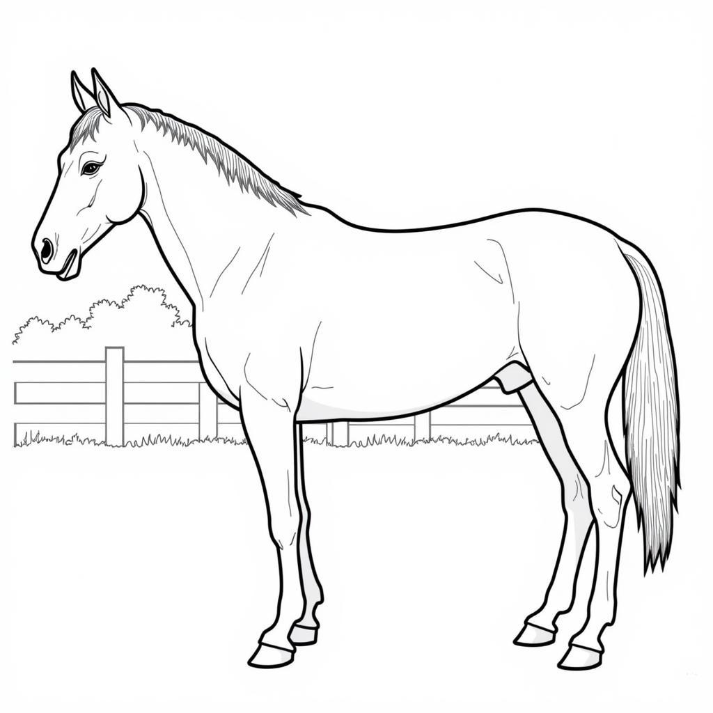 Realistic Horse Coloring Page