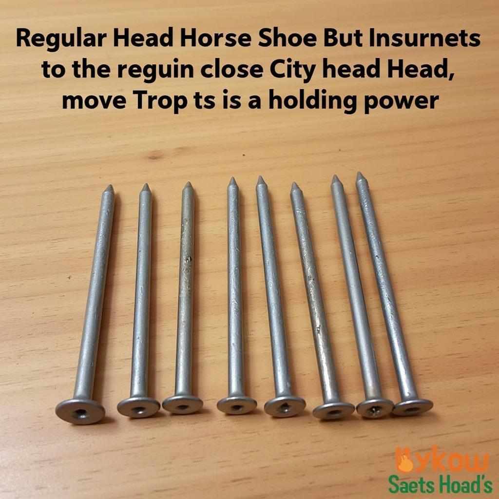 regular head horse shoe nails