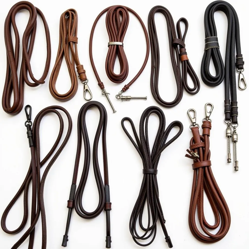 A close-up shot of various types of horse reins