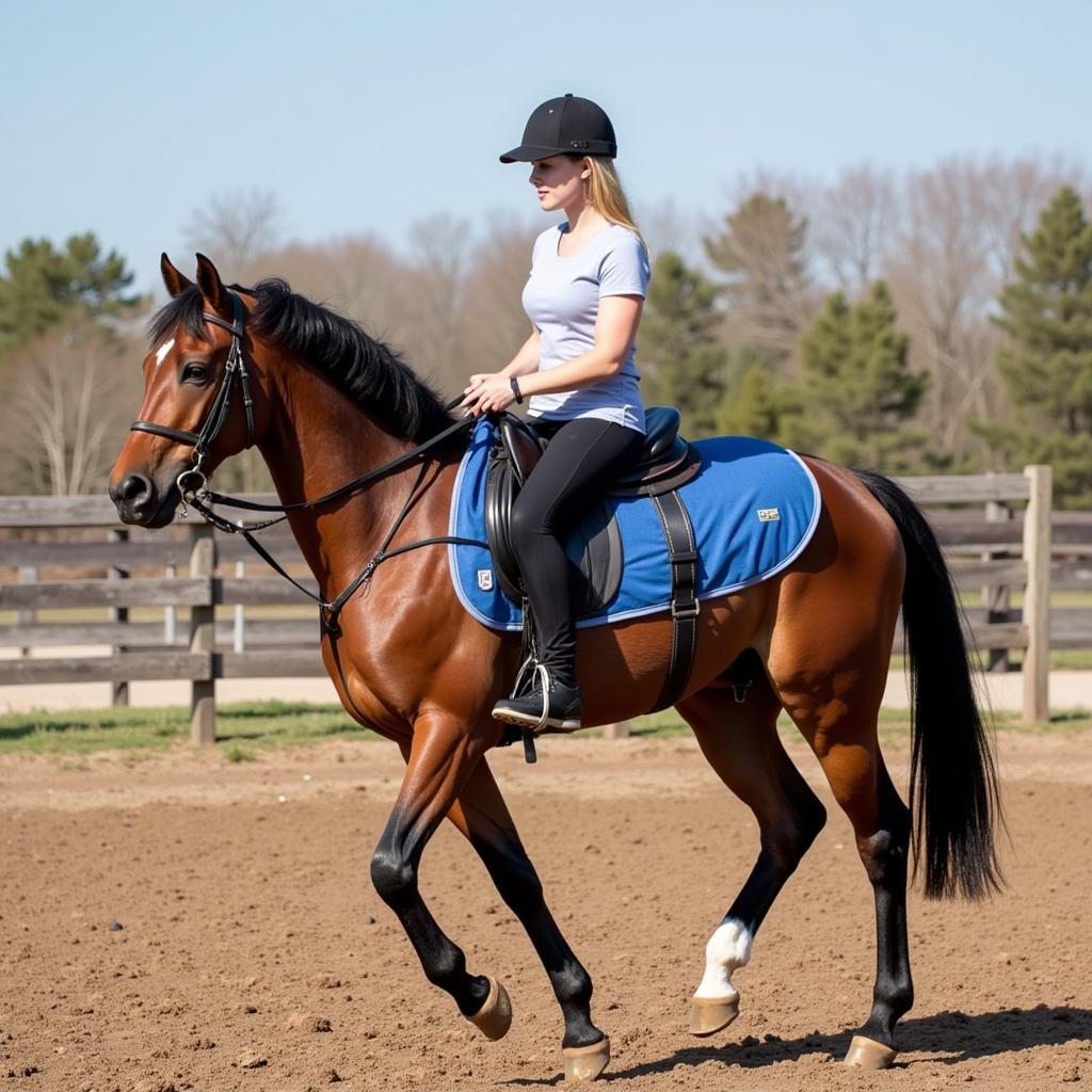  Rider Experiencing the Comfort of the Space Horse GRX