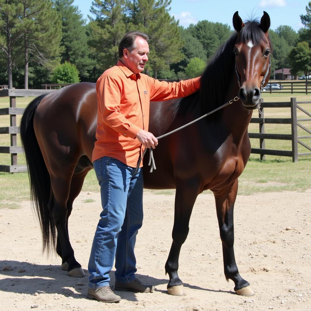 Roy Lerman demonstrating his horse training techniques